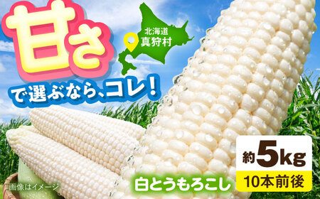 [2026年8月下旬以降順次発送] とうもろこし 白(白)5kg | とうもろこし とうきび トウモロコシ コーン 野菜 やさい 北海道 産地直送 | 道の駅 真狩フラワーセンター[BPAM021]