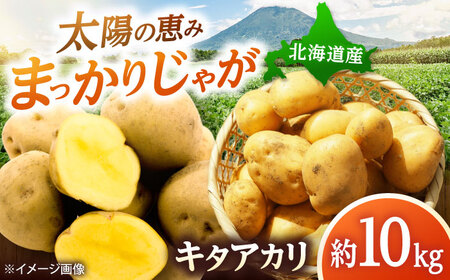 [2026年10月中旬以降順次発送] じゃがいも キタアカリ (まっかりじゃが)10kg | じゃがいも キタアカリ 野菜 やさい 北海道 産地直送 | 道の駅 真狩フラワーセンター[BPAM025]
