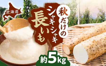 [2026年11月下旬以降順次発送]秋掘り 長いも 5kg | 長いも 秋野菜 野菜 やさい 北海道 産地直送 | 道の駅 真狩フラワーセンター[BPAM026]