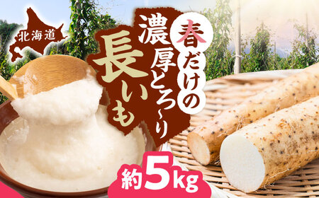 [2026年5月上旬以降順次発送] 春掘り 長いも 5kg | 長いも 春野菜 野菜 やさい 北海道 産地直送 | 道の駅 真狩フラワーセンター[BPAM027]