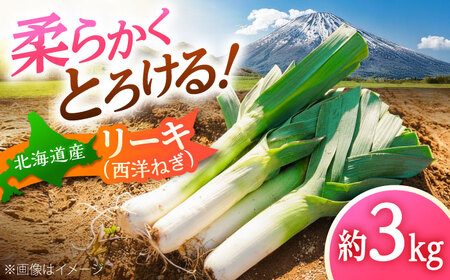 [2026年10月中旬以降順次発送] リーキ 3kg | 野菜 ネギ ねぎ ポロネギ 西洋ねぎ リーキ | 道の駅 真狩フラワーセンター[BPAM045]