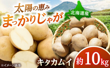 【2026年11月上旬以降順次発送】 じゃがいも キタカムイ（まっかりじゃが）10kg | 野菜 じゃがいも ジャガイモ キタカムイ 北海道 産地直送 | 道の駅 真狩フラワーセンター[BPAM047]