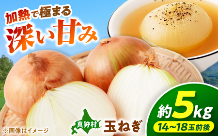 【2026年10月上旬以降順次発送】 玉ねぎ 5kg | 野菜 玉ネギ たまねぎ やさい 北海道 産地直送 | 道の駅 真狩フラワーセンター[BPAM079]