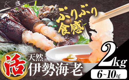 yʌzVRwxɐCV 2kg  ( 6 ` 10 ) yzsnFEkCEꌧEkEElEBzcY