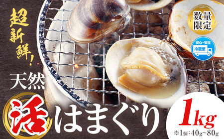 数量限定 天然 活 はまぐり 1kg 1個:40g〜80g 寺田水産 [2025年7月上旬-2026年6月末頃出荷]千葉県 勝浦市 海産 貝 はまぐり[配送不可地域:離島・北海道・沖縄県・東北・中国・四国・九州]