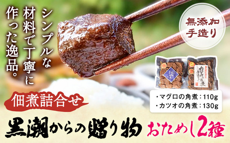 千葉県勝浦市 黒潮からの贈り物 お試し2種 有限会社 佃煮近江[30日以内に出荷予定(土日祝除く)]マグロの角煮 カツオの角煮[配送不可地域:離島]