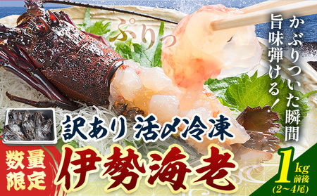 ���ʌ��� �󂠂� ���Y�Ⓚ �ɐ��C�V 1kg�O��(2?4��) ���c���Y�y�z���s�n�悠��z�i�����j