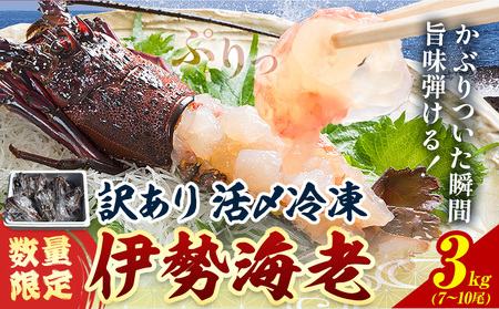 ���ʌ��� �󂠂� ���Y�Ⓚ �ɐ��C�V 3kg(7?10��) ���c���Y�y�z���s�n�悠��z�i�����j