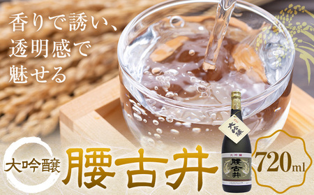 腰古井 大吟醸 720ml 1本 有限会社 滝口商店[30日以内に出荷予定(土日祝除く)]千葉県 勝浦市 日本酒 酒 大吟醸