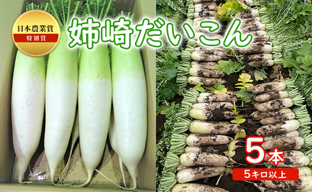 日本農業賞の特別賞 姉崎だいこん 5本 5キロ以上 野菜 大根