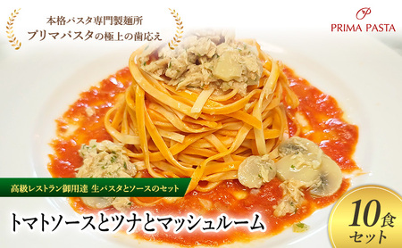 pX^ XgpB̐pX^ƃ\[X̃Zbgug}g\[Xƃciƃ}bV[@10HZbgv@`{ipX^吻ˏuv}pX^v̋ɏ̎` yTM-TMS1101-