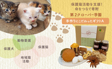 洋菓子 [第2クローバー学園]手作りにこだわったギフトA お菓子 焼き菓子 セット マドレーヌ クッキー マフィン ムラング フィナンシェ ジャム 市原市 千葉県