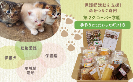 洋菓子 [第2クローバー学園]手作りにこだわったギフトB お菓子 焼き菓子 セット マドレーヌ クッキー マフィン ムラング フィナンシェ フロランタン ジャム 市原市 千葉県