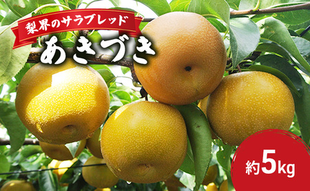 梨界のサラブレッド あきづき(5kg)
