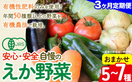 [毎月定期便3回]えか野菜 おまかせ5〜7種セット 有機JAS認定 株式会社えか自然農場 千葉県 流山市 オーガニック 無農薬 化学肥料不使用 旬 送料無料