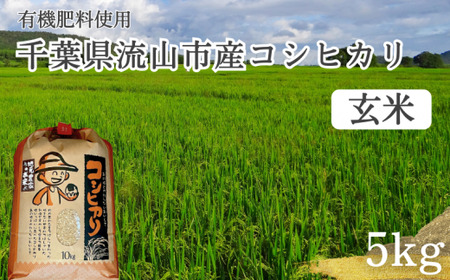 コシヒカリ 米 5kg 有機肥料 玄米 単発
