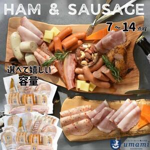 ハム ソーセージ おうちのみセット 容量:7点程 豚肉 ハム ソーセージ ウィンナー 加工品 燻製 福袋 Umami
