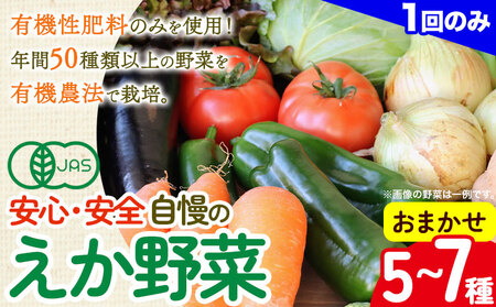 えか野菜 おまかせ5〜7種セット 有機JAS認定 株式会社えか自然農場[30日以内に出荷予定(土日祝除く)]千葉県 流山市 オーガニック 無農薬 化学肥料不使用 旬 送料無料