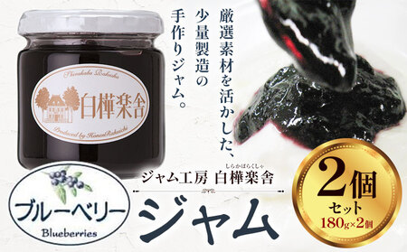 ジャム ブルーベリージャム 2個 180g × 豊年楽市有限会社[30日以内に出荷予定(土日祝除く)]千葉県 流山市 パン ブルーベリー│ジャム