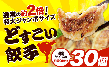 餃子 どすこい餃子 冷凍 30個 浜あげ吉田屋 餃子