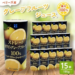 ベリーズ産 グレープフルーツジュース 果汁100% (195g×15本)【1496135】