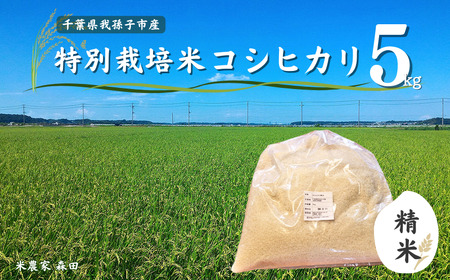 [冷めても美味しい]農家直送 千葉県産 特別栽培米コシヒカリ 5kg(精米)