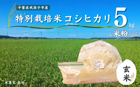 [冷めても美味しい]農家直送 千葉県産 特別栽培米コシヒカリ 5kg(玄米)と米粉のセット