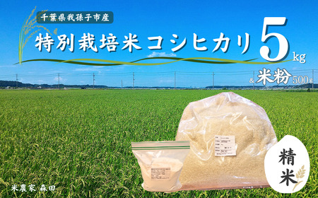 [冷めても美味しい]農家直送 千葉県産 特別栽培米コシヒカリ 5kg(精米)と米粉のセット