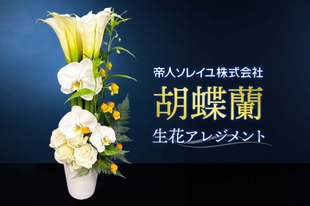 【帝人ソレイユ】053（コ）胡蝶蘭　生花アレンジメント《30日以内に出荷予定(土日祝除く)》