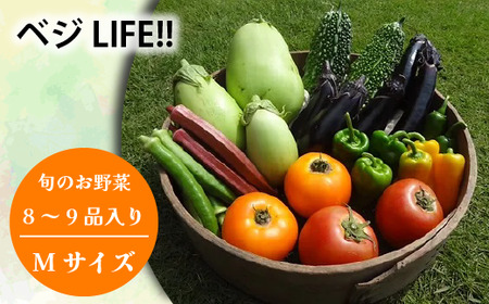 旬の野菜セットMサイズ (約8~9品)