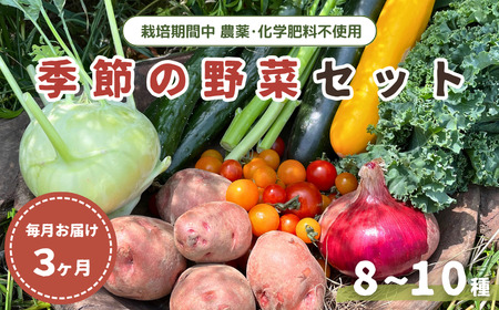 [毎月定期便3回]季節の野菜セット (8~10種)