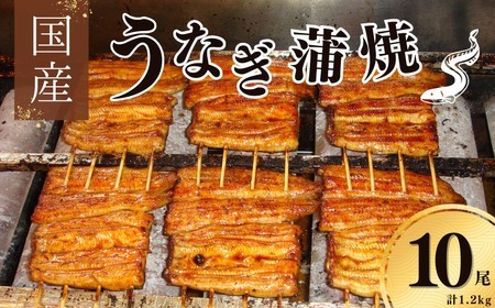 yƁzYVā@120g×10pbN