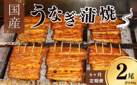 y6zyƁzYVā@120g×2pbN