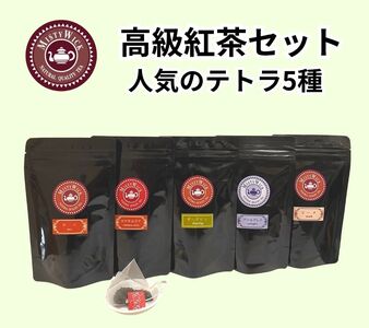 ZCgXMISTYWICKlC̃eB[obO10×5