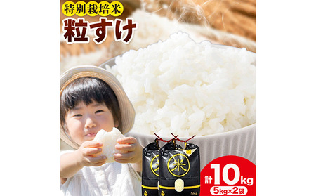 令和7年産 特別栽培米 白米 粒すけ 10kg(5kg×2) 米の半左エ門[30日以内に出荷予定(土日祝除く)]千葉県 我孫子市 つぶすけ 精米 白米 ごはん お米 ライス ブランド ご飯 和食 お弁当 おにぎり 国産 コメ おかず 送料無料