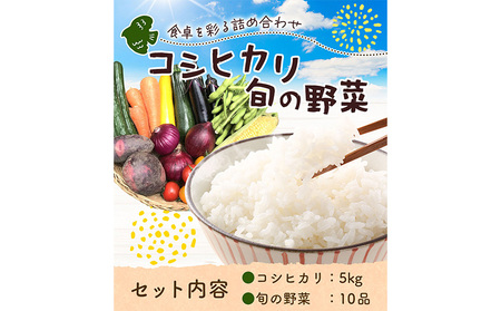 米 野菜 千葉県我孫子市の農家直送! ふっくら甘み自慢の 令和7年産 コシヒカリ 5kg & 旬野菜 10品 [30日以内に出荷予定(土日祝除く)] ベジLIFE!! [配送不可地域あり](沖縄・離島) 精米 米 白米 ごはん お米 国産 コメ トマト キャベツ 白菜 玉ねぎ 千葉県 我孫子市