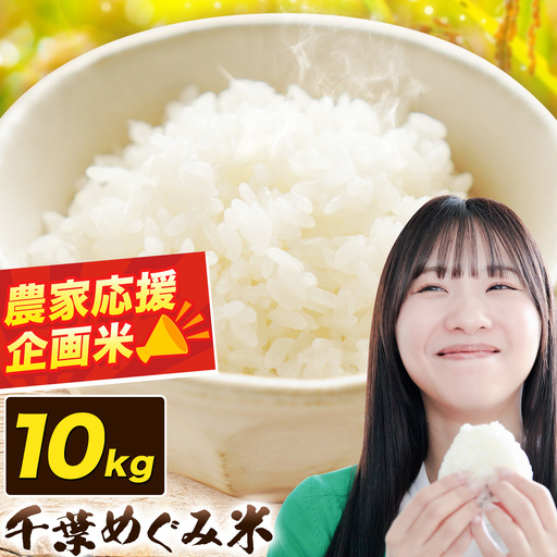 米 精米 千葉めぐみ米 10kg 千葉県産
