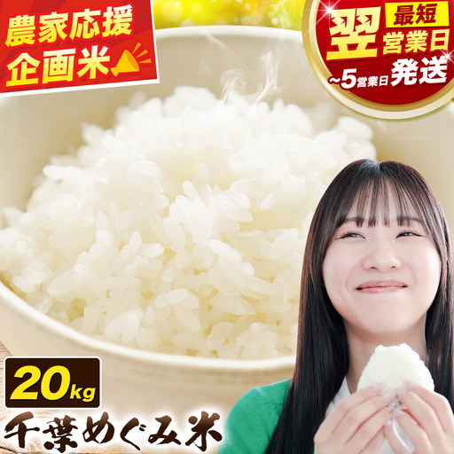 米 精米 千葉めぐみ米 20kg 千葉県産《1-5日以内に出荷予定(土日祝除く)》