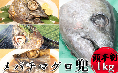 メバチマグロ兜 頭半割1個分（1kg） 1/4カット×2個 [0015-0038]