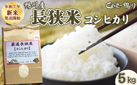 sߘaVNY Vāty`zY IwĂЂxTkgsāt@[0019-0009]