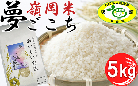 yߘa7NYzt@[̗䉪āuv 5kg@[0020-0104]