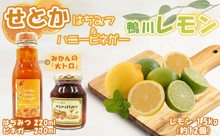 yʁEԌzƂt[c샌ZbgirlK[E݂͂eP{E1.5kgj@[0012-0067]