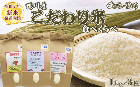 sߘaVNY Vāty`zY IwāxĂPkg×RsRVqJEE~L[NC[t@@[0014-0040]