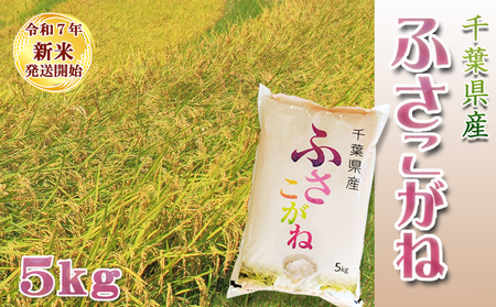 sߘaVNY VātyĉVză\GI tYwӂˁxTkg@[0013-0049]