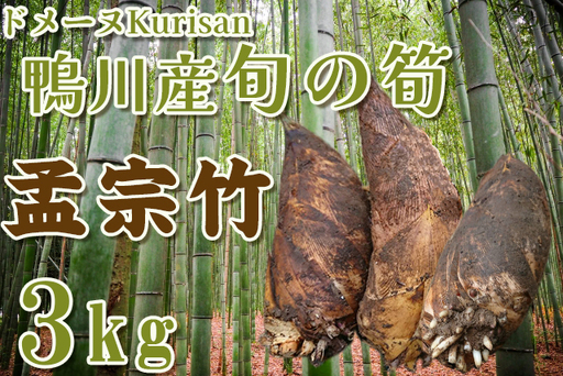 [ドメーヌKurisan]鴨川産 旬の筍「孟宗竹」3kg[0011-0067]