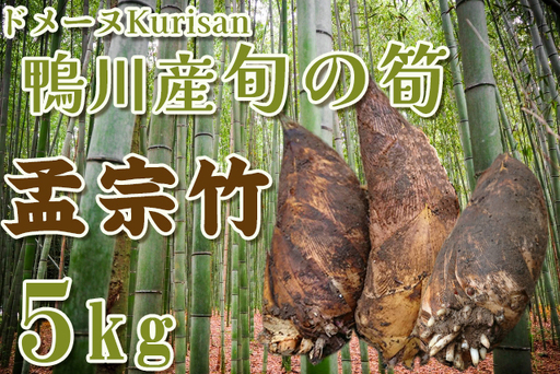【ドメーヌKurisan】鴨川産 旬の筍「孟宗竹」5kg[0016-0020]