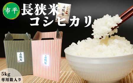 [市平]ボックス入り長狭米コシヒカリ5kg [0019-0008]