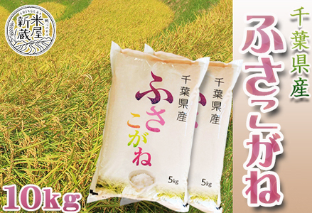 ふさこがねの返礼品 検索結果 | ふるさと納税サイト「ふるなび」