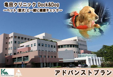 [亀田クリニック Dock&Dog]アドバンストプラン 1名様(平日限定1泊2食付) [0600-0001]