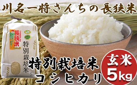 [令和5年産]川名一将さんちの長狭米 特別栽培米コシヒカリ6kg[玄米] [0010-0175]